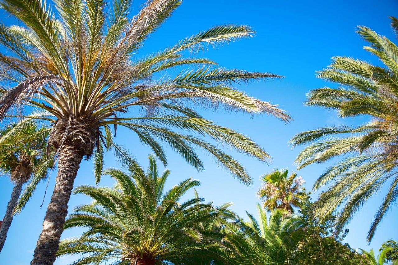 Apartament El Jasmine Corralejo Zewnętrze zdjęcie