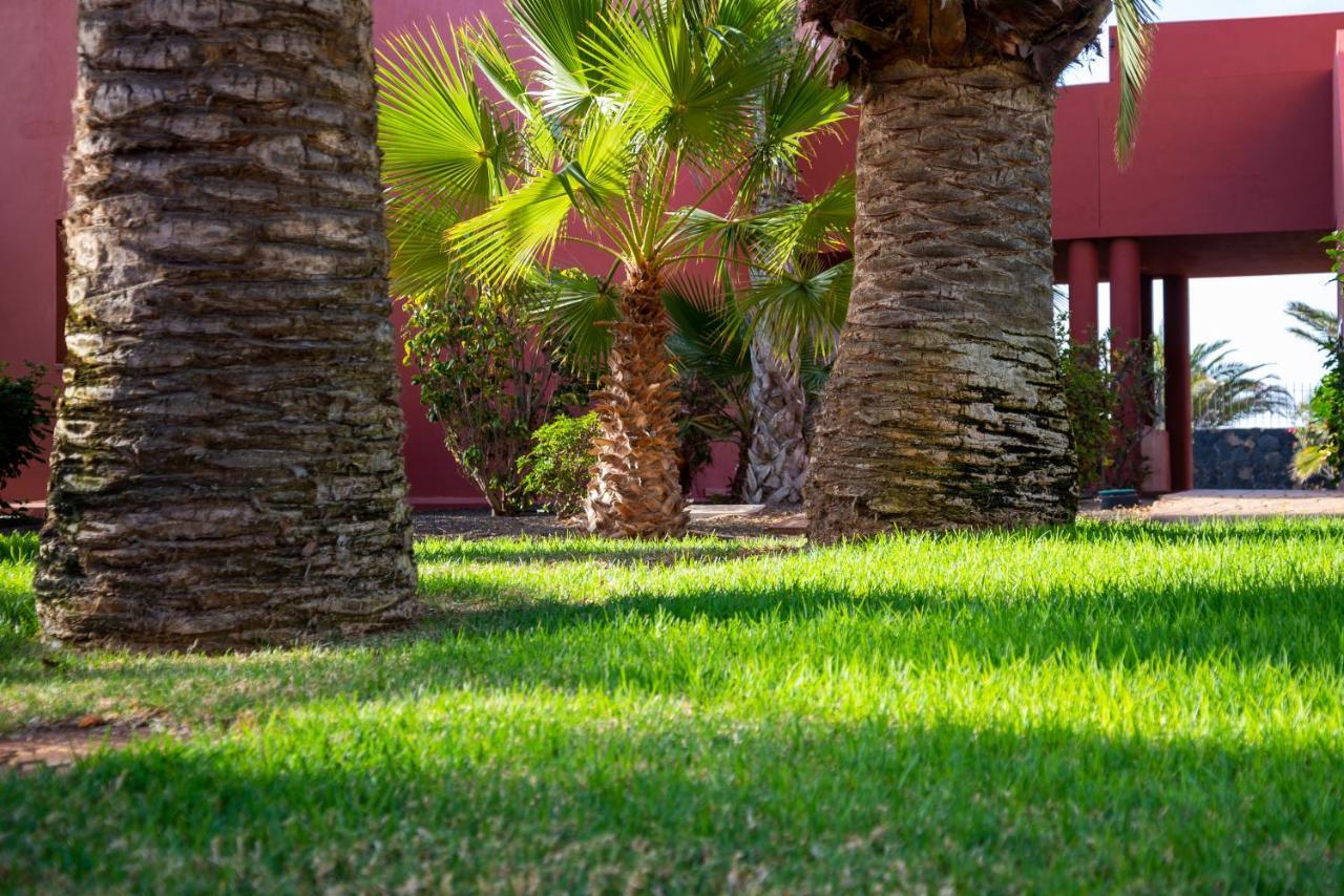Apartament El Jasmine Corralejo Zewnętrze zdjęcie